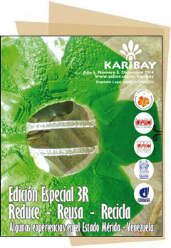 Portada Karibay